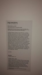 פרטי אמן אלימות אלוהית בווייטני